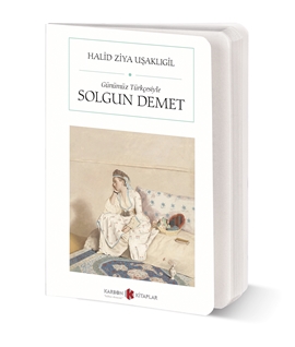 Solgun Demet