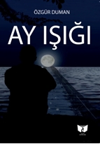 Ay Işığı