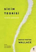 Sicim Teorisi