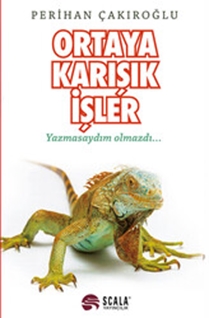 Ortaya Karışık İşler