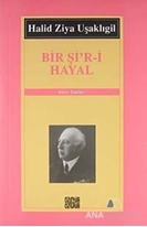 Bir Şi'r-i Hayal