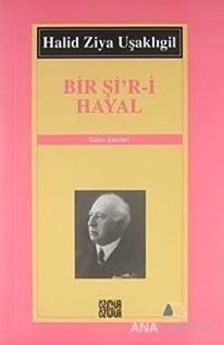 Bir Şi'r-i Hayal