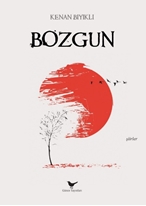 Bozgun