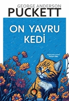 On Yavru Kedi