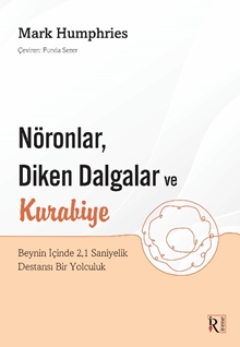 Nöronlar Diken Dalgalar ve Kurabiye