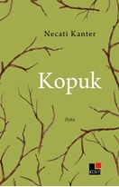 Kopuk