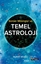 Sümer Mitolojisi ve Temel Astroloji