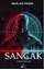 Sancak (Frekans Saldırısı)