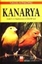 Kanarya