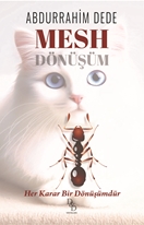 Mesh  Dönüşüm