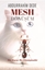 Mesh  Dönüşüm