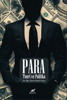 Para Teori ve Politika