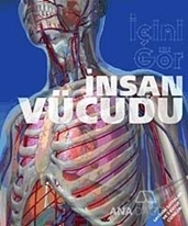 İnsan Vücudu / İçini Gör