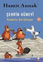Şehrin Güneyi : Kunduzlar Çok Çalışıyor