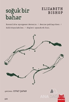 Soğuk Bir Bahar