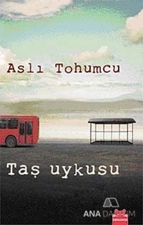 Taş Uykusu