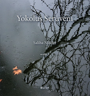 Yokoluş Serüveni