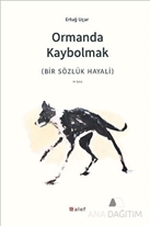 Ormanda Kaybolmak
