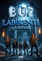 Buz Labirenti