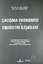 Çalışma Ekonomisi ve Endüstri İlişkileri
