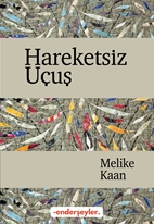 Hareketsiz Uçuş