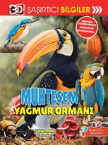 3D Şaşırtıcı Bilgiler - Muhteşem Yağmur Ormanı