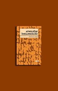 Aynılığın İmkansızlığı