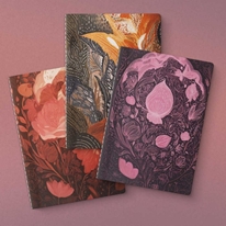 Doku Serisi 3'lü Defter Seti