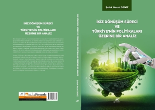 İkiz Dönüşüm Süreci Ve Türkiye’nin Politikalari Üzerine Bir Analiz