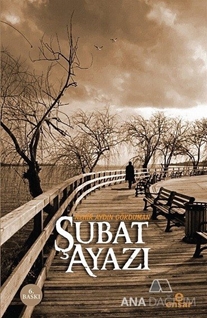 Şubat Ayazı
