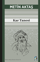 Kar Tanesi