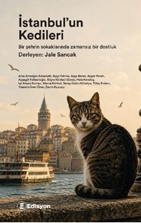 İstanbul’un Kedileri