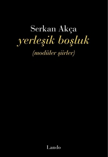 Yerleşik Boşluk