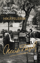 Hikayelerim