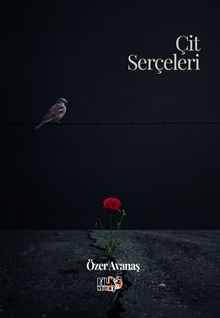 Çit Serçeleri