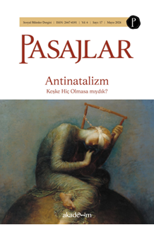 Pasajlar Sosyal Bilimler Dergisi Sayı 17