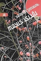 Mayıs Islığı