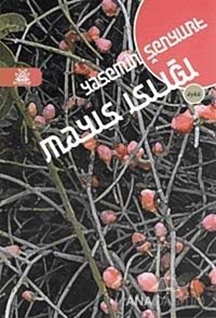 Mayıs Islığı