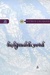 Hiçliğimdeki Yırtık
