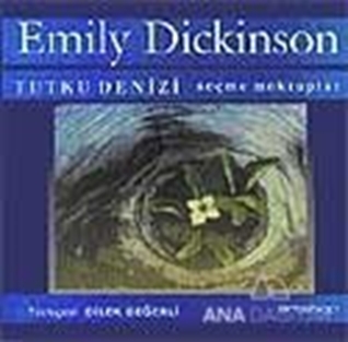 Tutku Denizi Seçilmiş Mektuplar