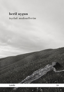 Toyluk Mahsullerim
