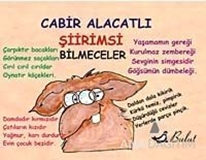 Şiirimsi Bilmeceler