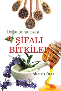 MIKNATISLI AYRAÇ 120'LİK KUTU(ATATÜRK VE BAYRAK)