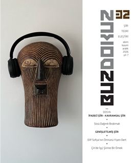 Buzdokuz Sayı 32