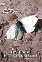 Öyküsüz Bal Çiçekleri
