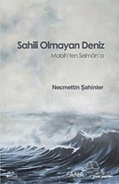 Sahili Olmayan Deniz